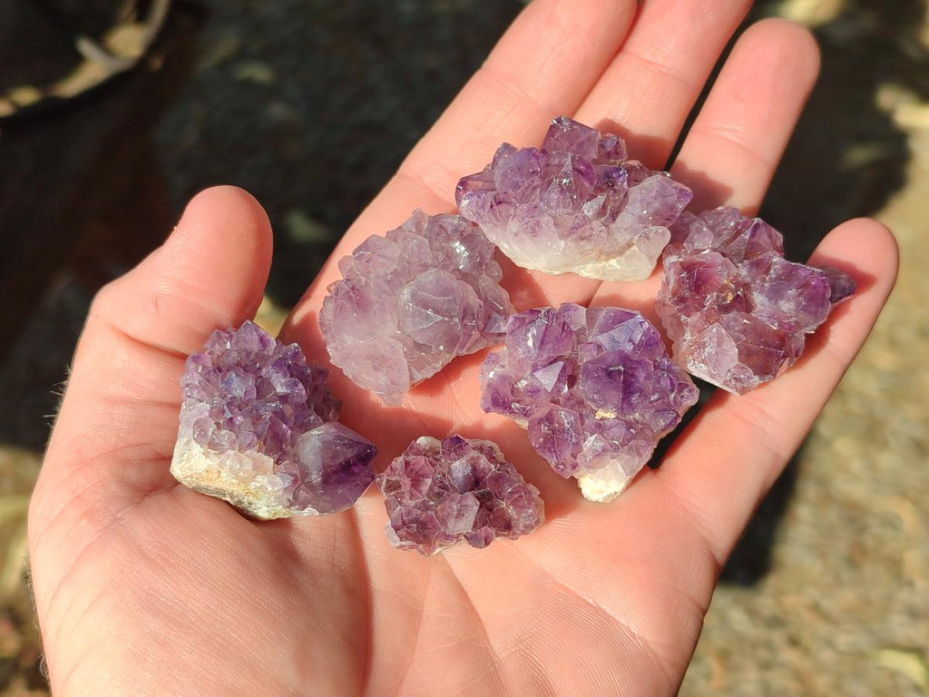 Natural Mini Amethyst Clusters x 70 From Madagascar - Toprock Gemstones and Minerals 