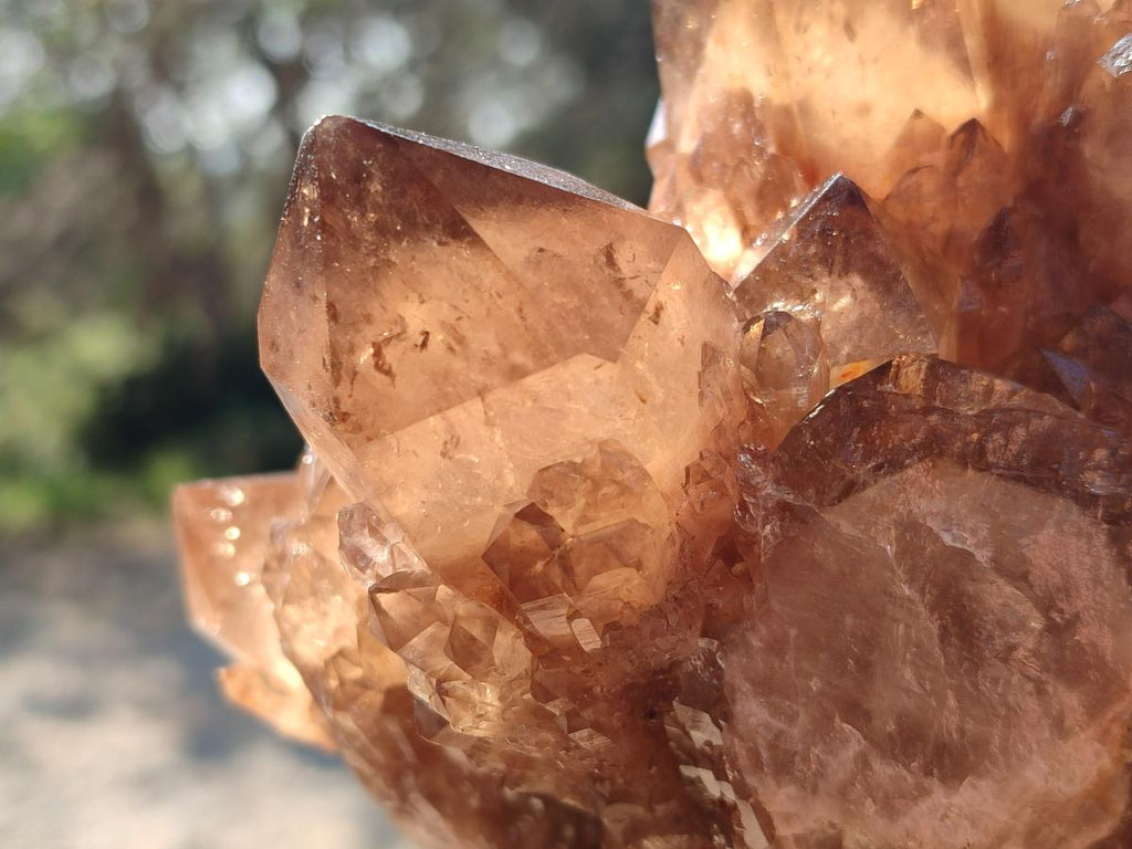 Natural Large Cascading Phantom Smokey Citrine Quartz Cluster x 1 From Luena, Congo - Toprock Gemstones and Minerals 