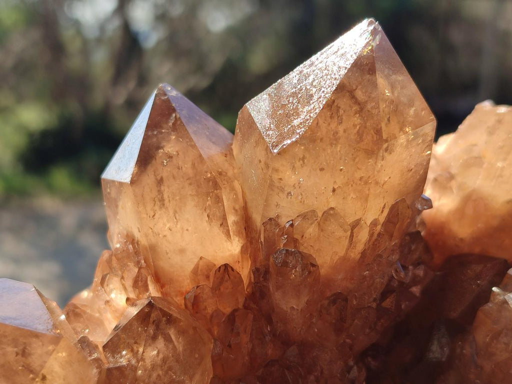 Natural Large Cascading Phantom Smokey Citrine Quartz Cluster x 1 From Luena, Congo - Toprock Gemstones and Minerals 