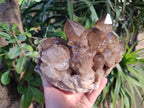 Natural Large Cascading Phantom Smokey Citrine Quartz Cluster x 1 From Luena, Congo - Toprock Gemstones and Minerals 