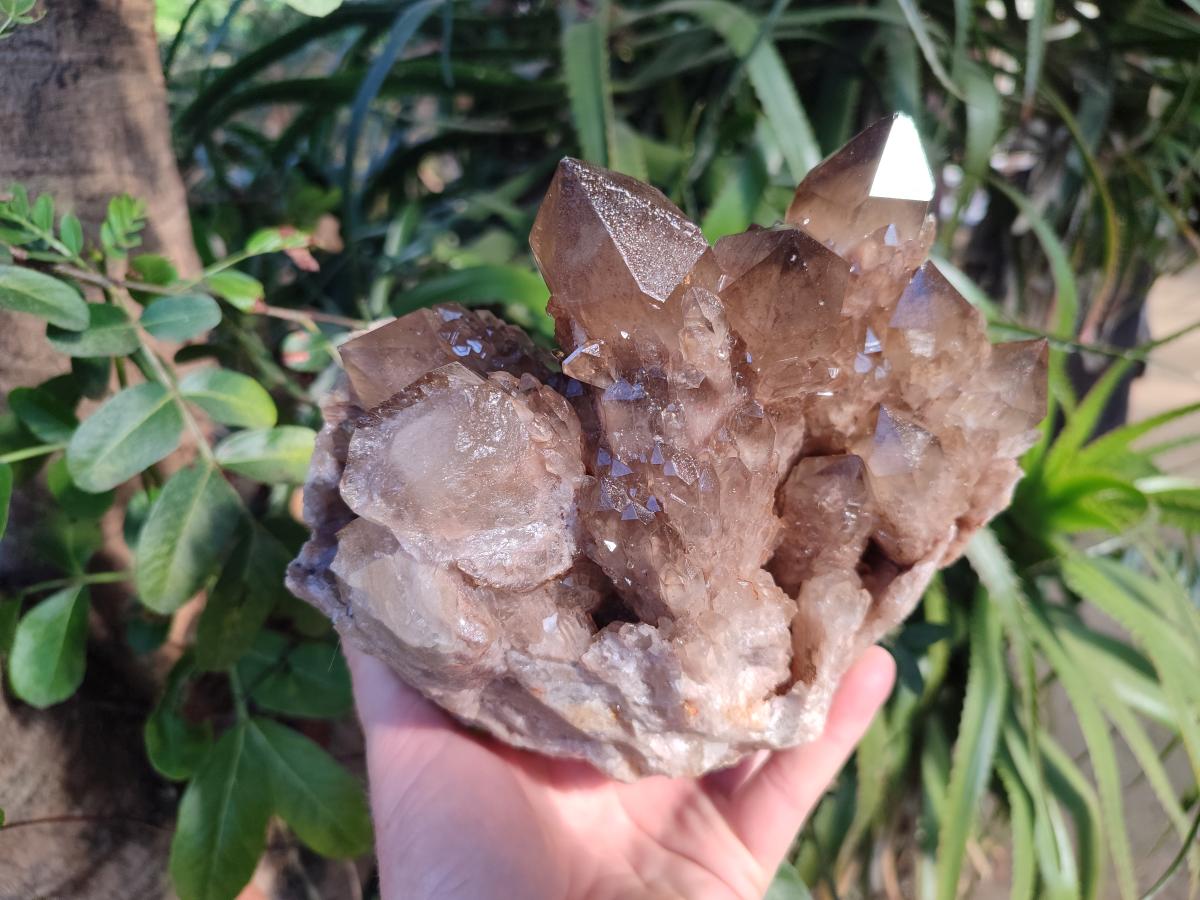 Natural Large Cascading Phantom Smokey Citrine Quartz Cluster x 1 From Luena, Congo - Toprock Gemstones and Minerals 