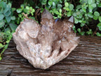 Natural Large Cascading Phantom Smokey Citrine Quartz Cluster x 1 From Luena, Congo - Toprock Gemstones and Minerals 