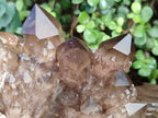Natural Large Cascading Phantom Smokey Citrine Quartz Cluster x 1 From Luena, Congo - Toprock Gemstones and Minerals 