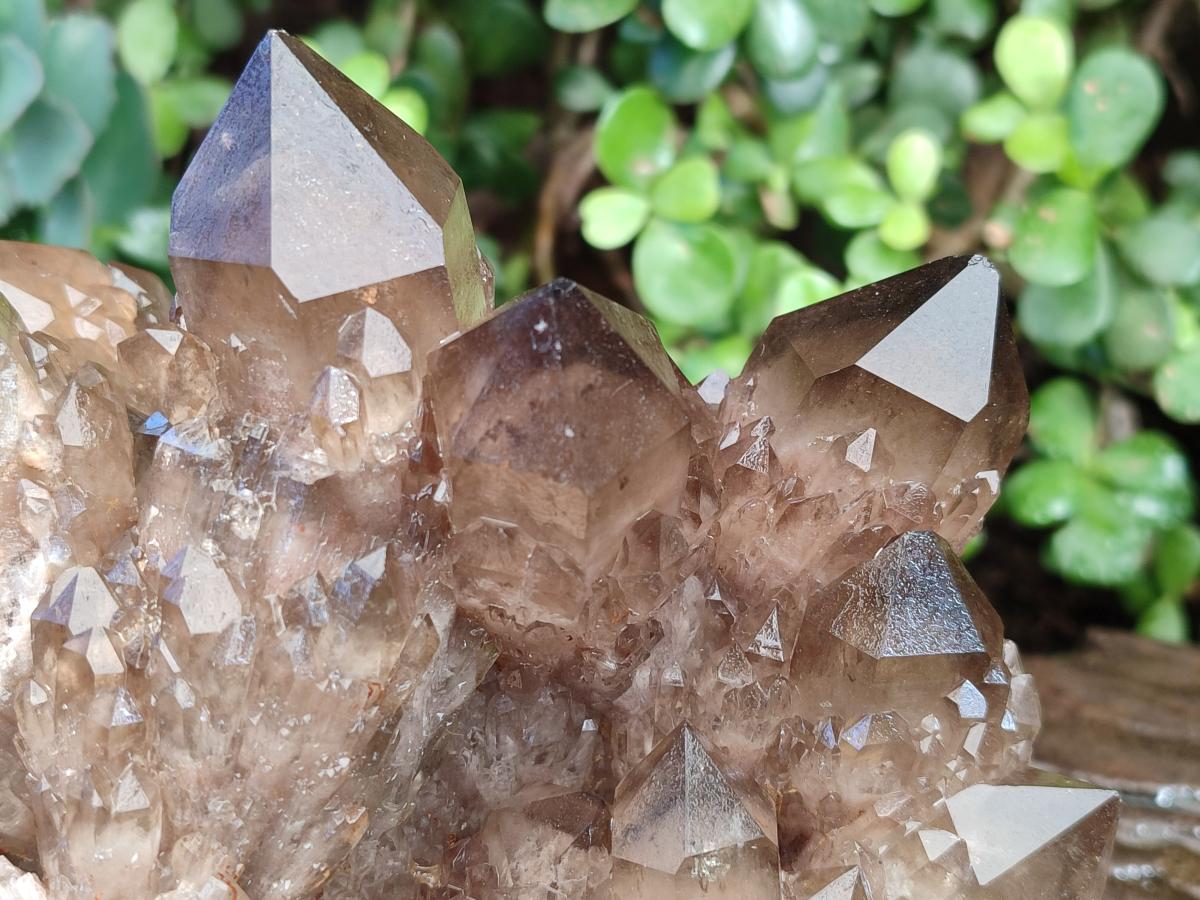Natural Large Cascading Phantom Smokey Citrine Quartz Cluster x 1 From Luena, Congo - Toprock Gemstones and Minerals 