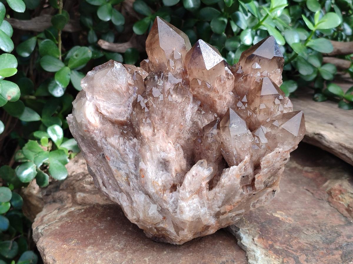 Natural Large Cascading Phantom Smokey Citrine Quartz Cluster x 1 From Luena, Congo - Toprock Gemstones and Minerals 