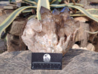 Natural Large Cascading Phantom Smokey Citrine Quartz Cluster x 1 From Luena, Congo - Toprock Gemstones and Minerals 