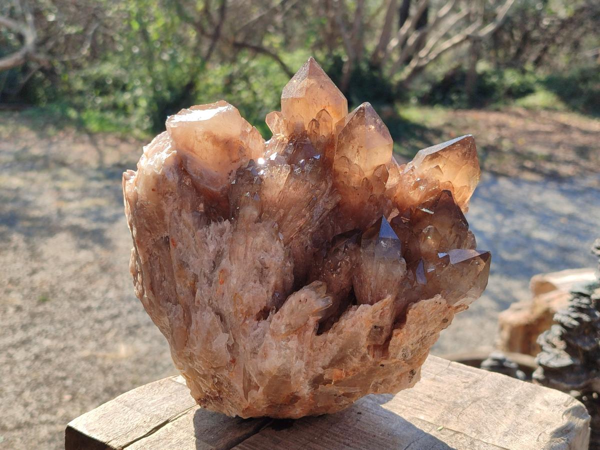 Natural Large Cascading Phantom Smokey Citrine Quartz Cluster x 1 From Luena, Congo - Toprock Gemstones and Minerals 