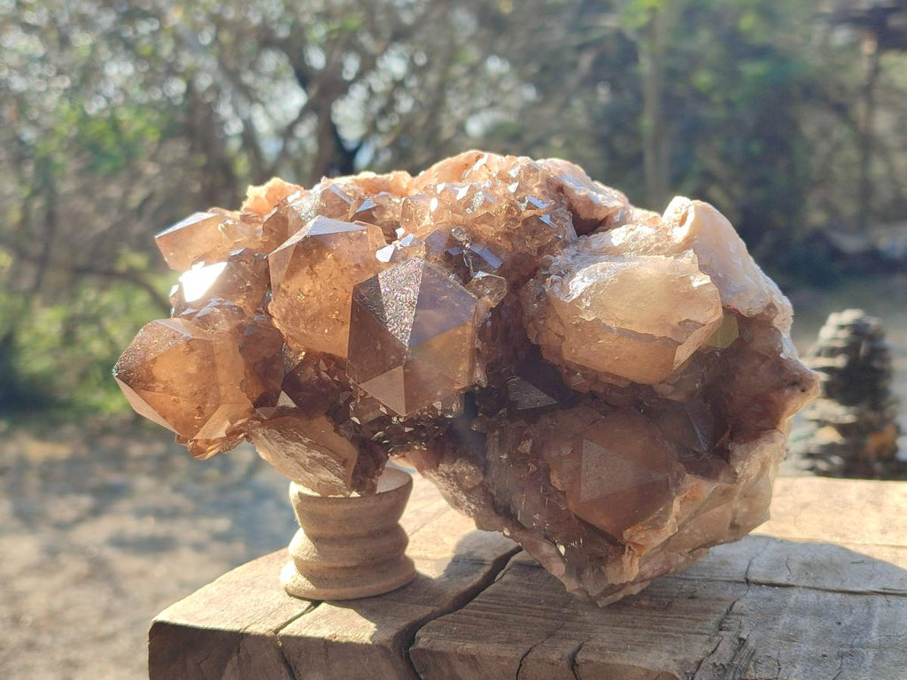 Natural Large Cascading Phantom Smokey Citrine Quartz Cluster x 1 From Luena, Congo - Toprock Gemstones and Minerals 