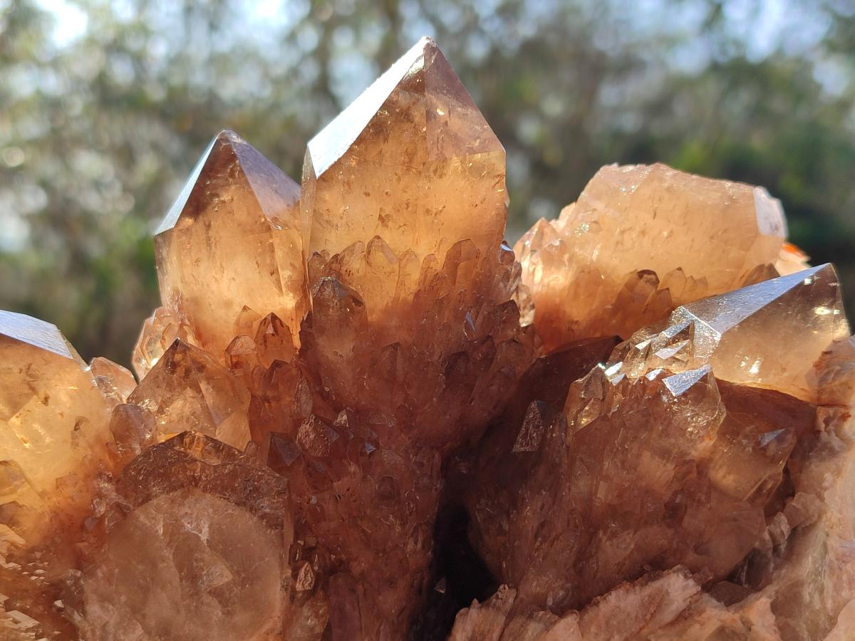 Natural Large Cascading Phantom Smokey Citrine Quartz Cluster x 1 From Luena, Congo - Toprock Gemstones and Minerals 