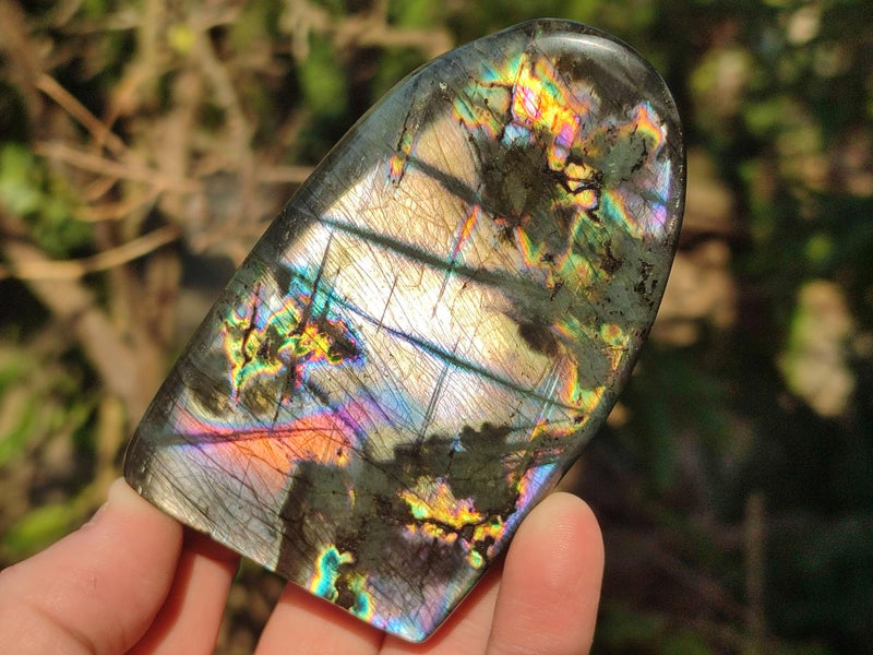 Polished Labradorite Standing Display Pieces x 6 From Madagascar - Toprock Gemstones and Minerals 