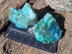 Natural Cobbed Shattuckite Specimens x 3.3 Kg Lot From Kaokoveld, Namibia - Toprock Gemstones and Minerals 