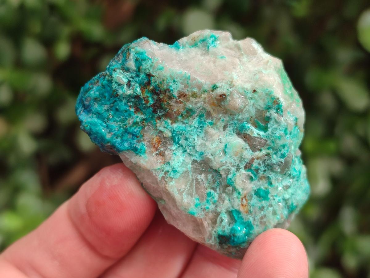 Natural Cobbed Shattuckite Specimens x 3.3 Kg Lot From Kaokoveld, Namibia - Toprock Gemstones and Minerals 