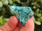 Natural Cobbed Shattuckite Specimens x 3.3 Kg Lot From Kaokoveld, Namibia - Toprock Gemstones and Minerals 