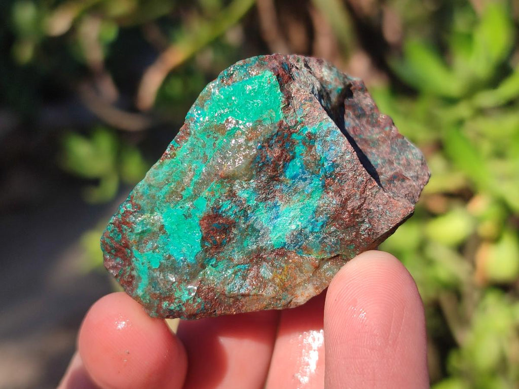Natural Cobbed Shattuckite Specimens x 3.3 Kg Lot From Kaokoveld, Namibia - Toprock Gemstones and Minerals 