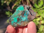 Natural Cobbed Shattuckite Specimens x 3.3 Kg Lot From Kaokoveld, Namibia - Toprock Gemstones and Minerals 