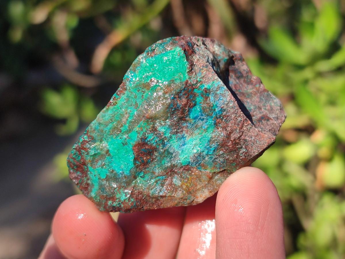 Natural Cobbed Shattuckite Specimens x 3.3 Kg Lot From Kaokoveld, Namibia - Toprock Gemstones and Minerals 
