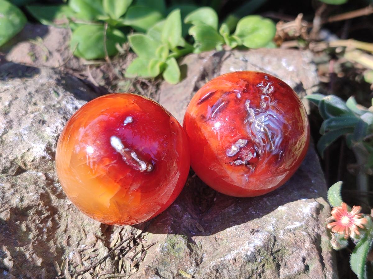 Polished Small Carnelian Agate Gemstone Spheres x 20 From Madagascar - Toprock Gemstones and Minerals 