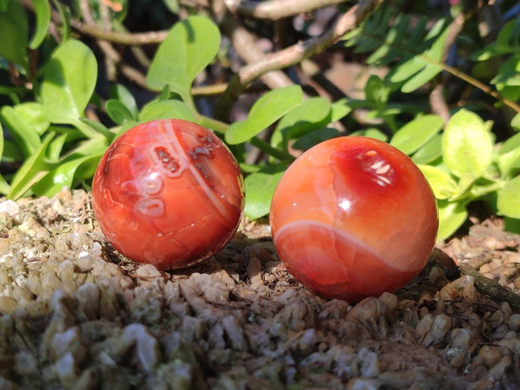 Polished Small Carnelian Agate Gemstone Spheres x 20 From Madagascar - Toprock Gemstones and Minerals 