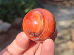 Polished Small Carnelian Agate Gemstone Spheres x 20 From Madagascar - Toprock Gemstones and Minerals 