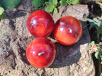Polished Small Carnelian Agate Gemstone Spheres x 20 From Madagascar - Toprock Gemstones and Minerals 