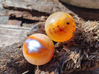 Polished Small Carnelian Agate Gemstone Spheres x 20 From Madagascar - Toprock Gemstones and Minerals 