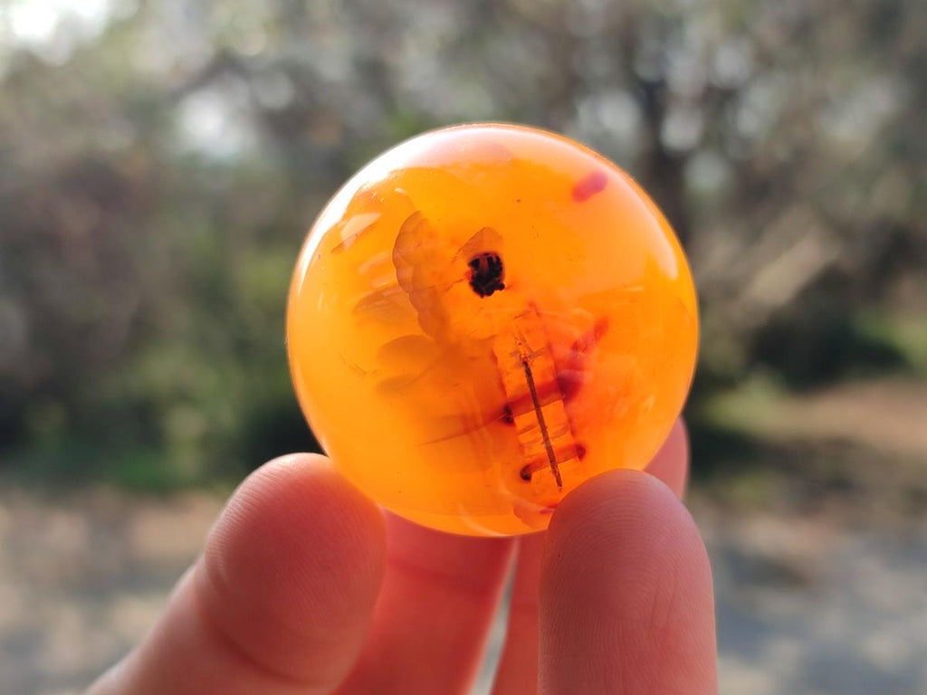 Polished Small Carnelian Agate Gemstone Spheres x 20 From Madagascar - Toprock Gemstones and Minerals 