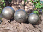 Polished Basalt Pharaoh Stone Spheres x 3 From Iron Duke Mine, Zimbabwe - Toprock Gemstones and Minerals 