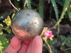 Polished Basalt Pharaoh Stone Spheres x 3 From Iron Duke Mine, Zimbabwe - Toprock Gemstones and Minerals 