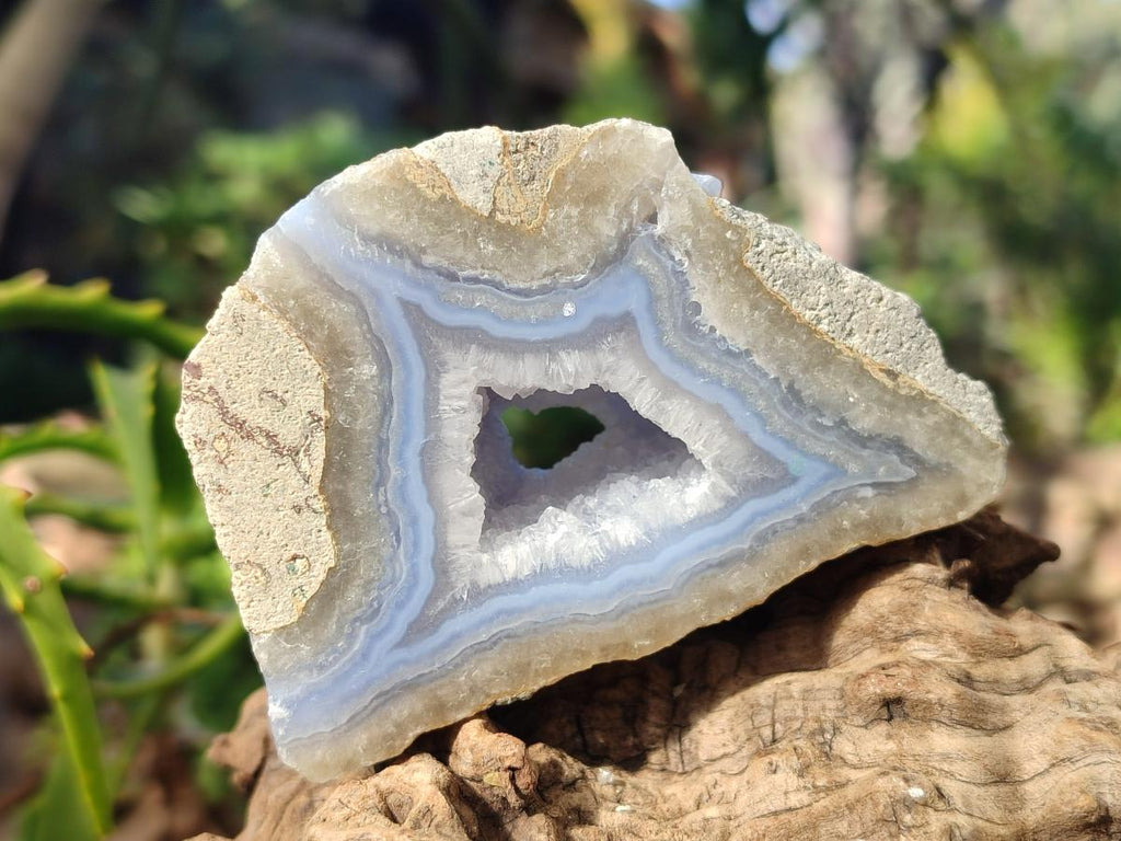 Polished on One Side Blue Lace Agate Geodes x 6 From Nsanje, Malawi - Toprock Gemstones and Minerals 