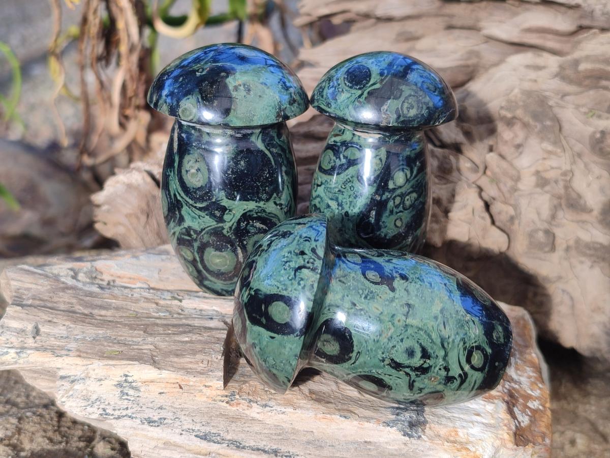 Polished Stromatolite "Kambaba Jasper" Mushrooms x 12 From Katsepy, Madagascar - Toprock Gemstones and Minerals 