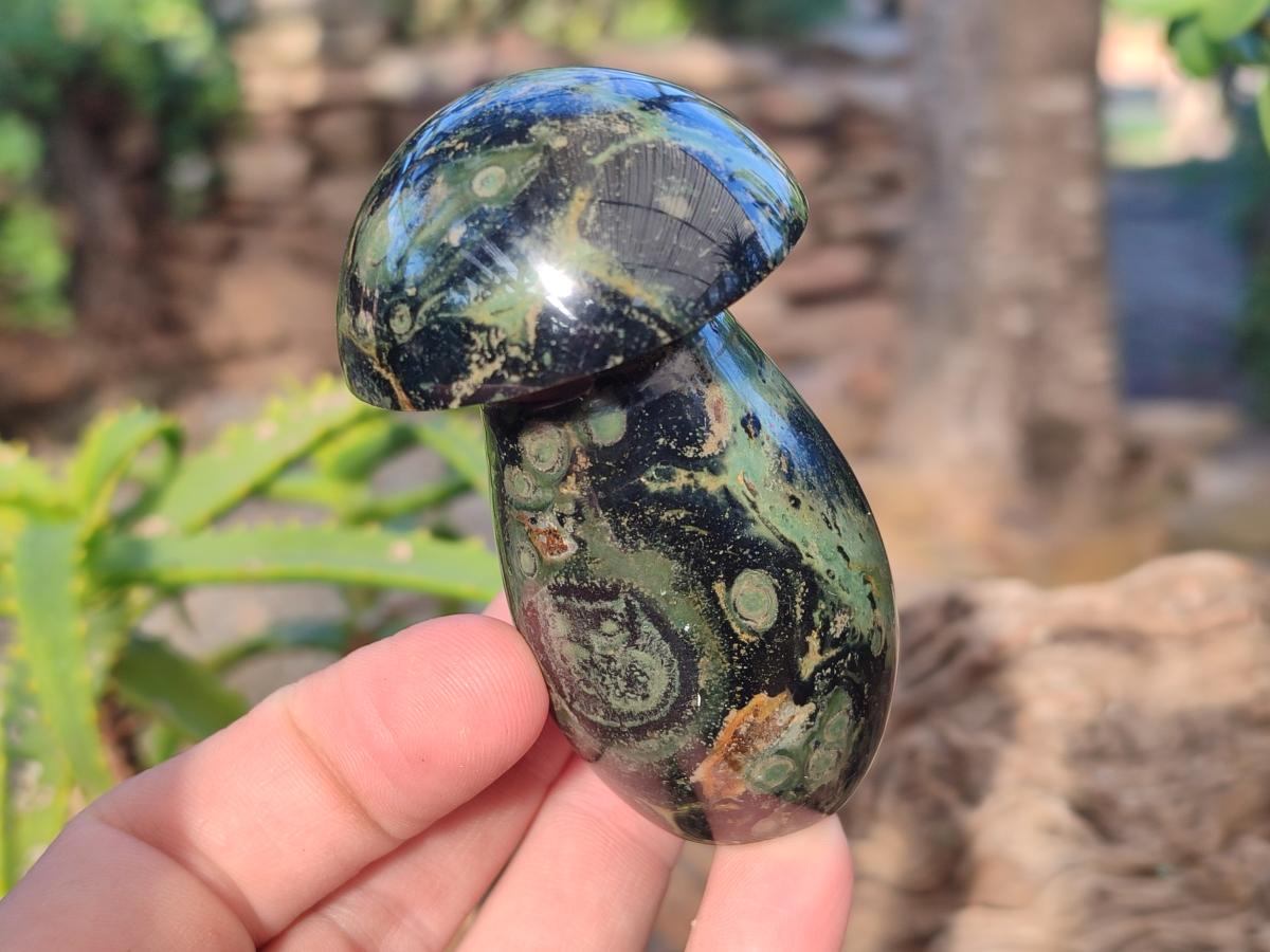 Polished Stromatolite "Kambaba Jasper" Mushrooms x 12 From Katsepy, Madagascar - Toprock Gemstones and Minerals 