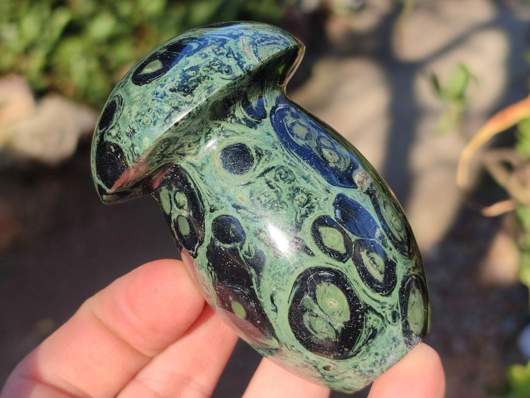 Polished Stromatolite "Kambaba Jasper" Mushrooms x 12 From Katsepy, Madagascar - Toprock Gemstones and Minerals 