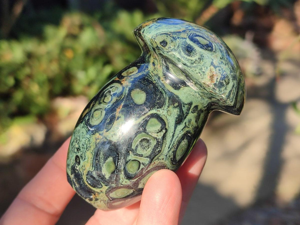 Polished Stromatolite "Kambaba Jasper" Mushrooms x 12 From Katsepy, Madagascar - Toprock Gemstones and Minerals 