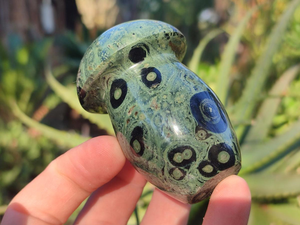 Polished Stromatolite "Kambaba Jasper" Mushrooms x 12 From Katsepy, Madagascar - Toprock Gemstones and Minerals 