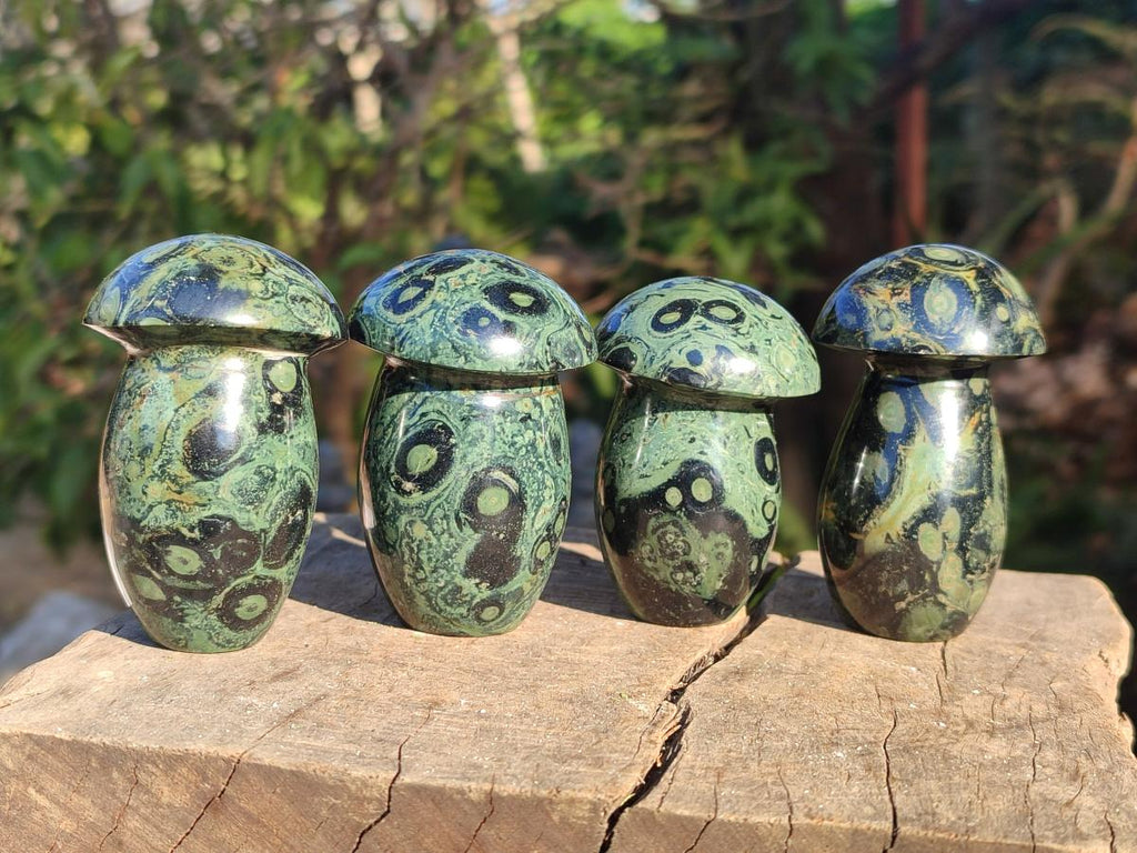 Polished Stromatolite "Kambaba Jasper" Mushrooms x 12 From Katsepy, Madagascar - Toprock Gemstones and Minerals 