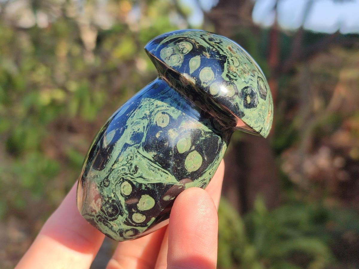 Polished Stromatolite "Kambaba Jasper" Mushrooms x 12 From Katsepy, Madagascar - Toprock Gemstones and Minerals 