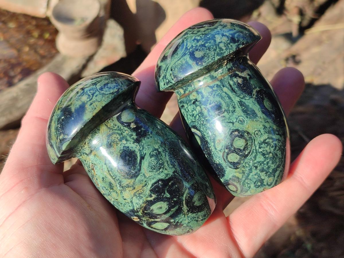 Polished Stromatolite "Kambaba Jasper" Mushrooms x 12 From Katsepy, Madagascar - Toprock Gemstones and Minerals 