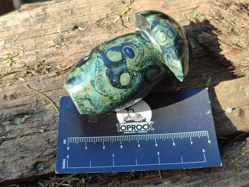 Polished Stromatolite "Kambaba Jasper" Mushrooms x 12 From Katsepy, Madagascar - Toprock Gemstones and Minerals 