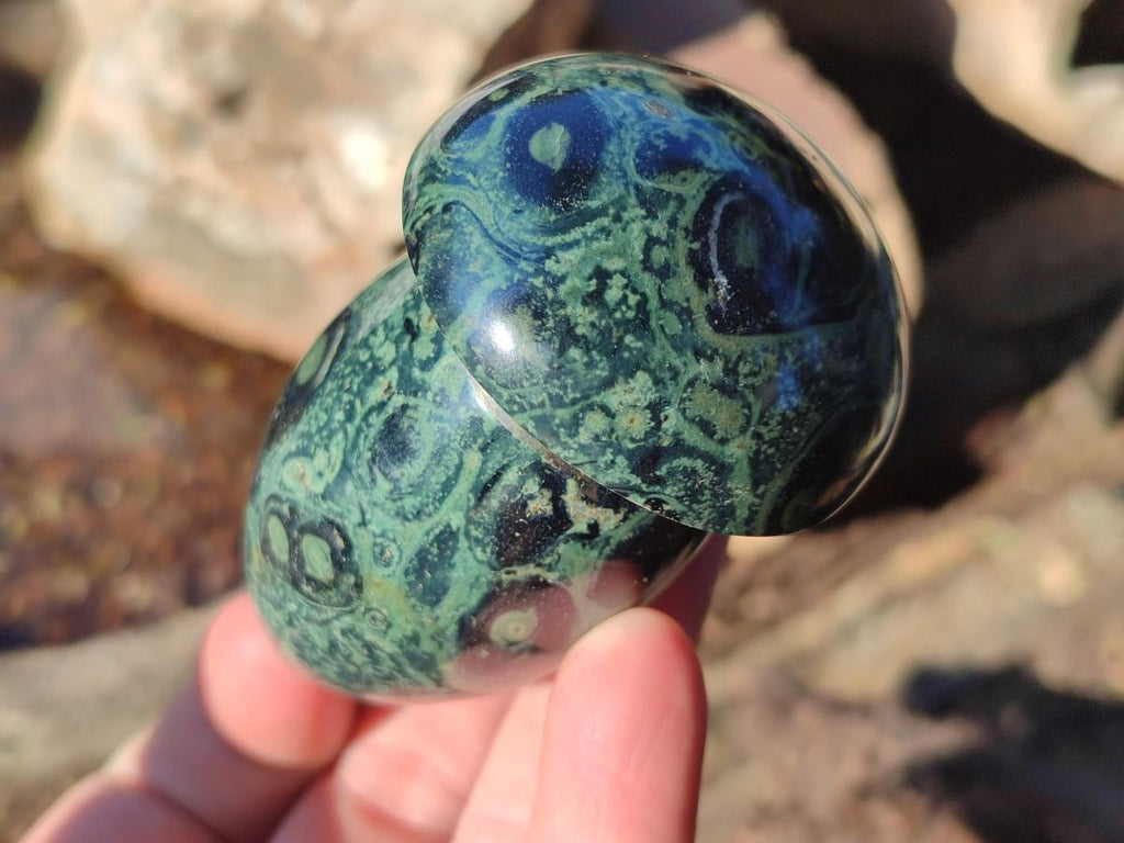 Polished Stromatolite "Kambaba Jasper" Mushrooms x 12 From Katsepy, Madagascar - Toprock Gemstones and Minerals 