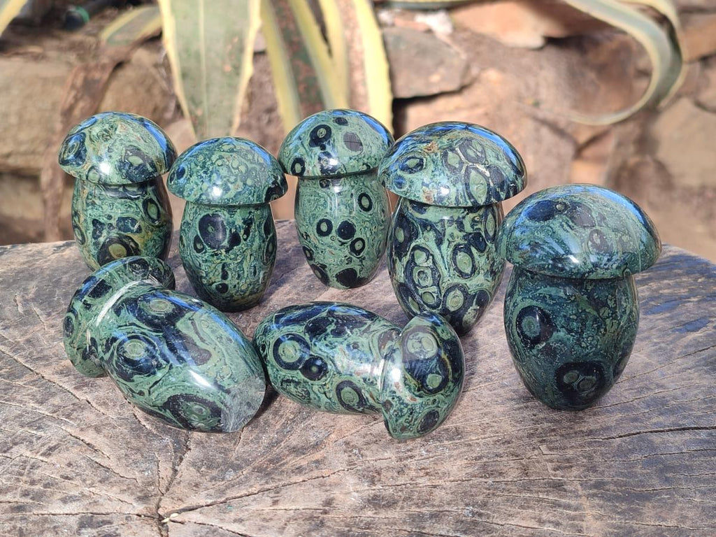 Polished Stromatolite "Kambaba Jasper" Mushrooms x 12 From Katsepy, Madagascar - Toprock Gemstones and Minerals 