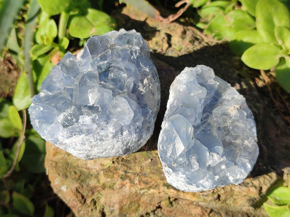 Natural Blue Celestite Specimens x 31 From Sakoany, Madagascar - Toprock Gemstones and Minerals 