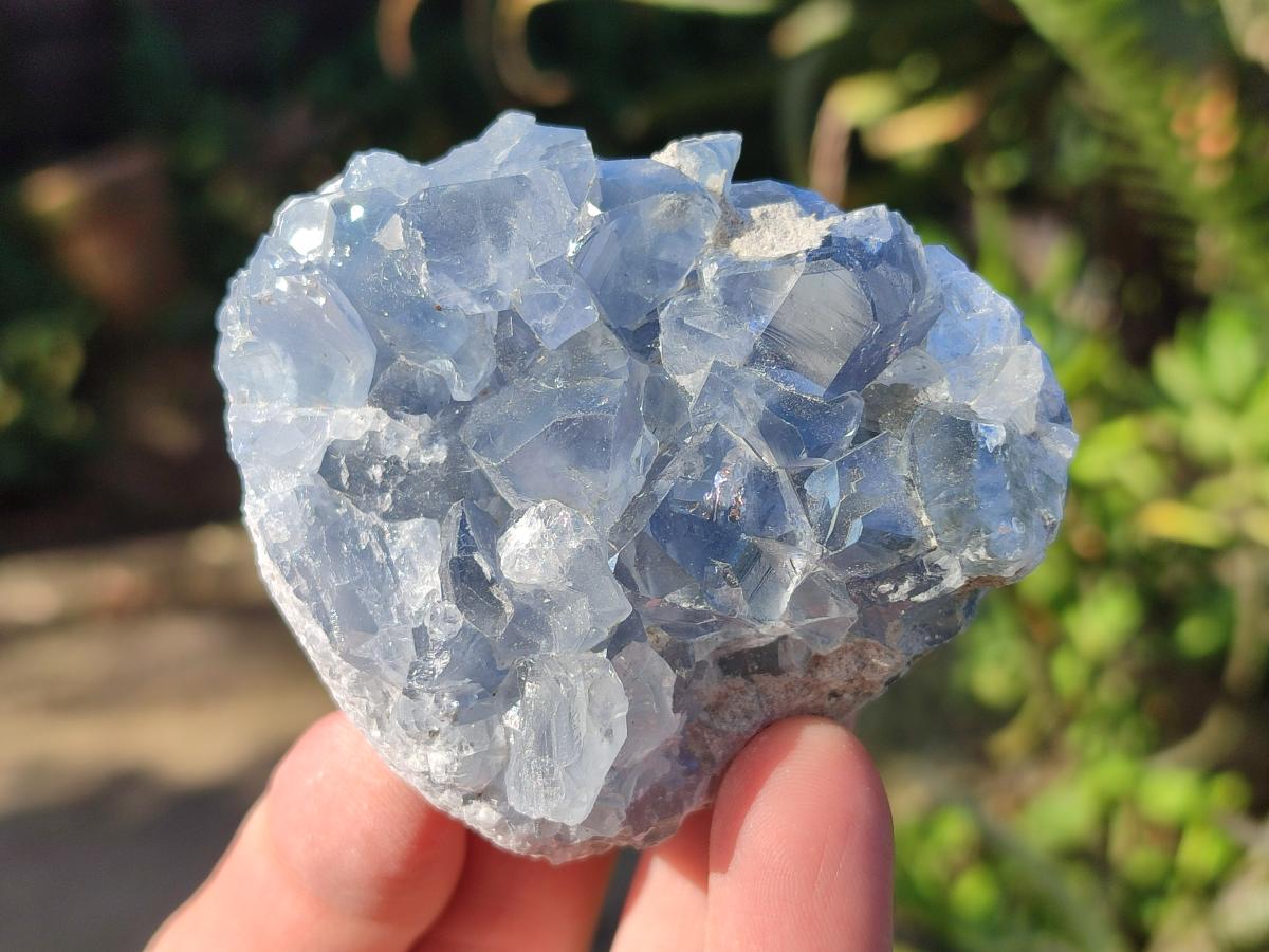 Natural Blue Celestite Specimens x 31 From Sakoany, Madagascar - Toprock Gemstones and Minerals 