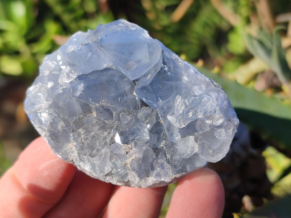 Natural Blue Celestite Specimens x 31 From Sakoany, Madagascar - Toprock Gemstones and Minerals 