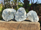 Natural Blue Celestite Specimens x 31 From Sakoany, Madagascar - Toprock Gemstones and Minerals 