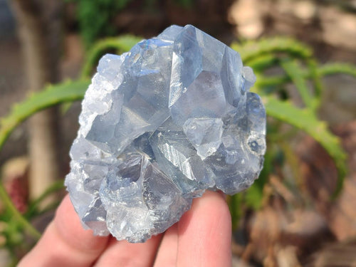 Natural Blue Celestite Specimens x 31 From Sakoany, Madagascar - Toprock Gemstones and Minerals 