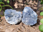Natural Blue Celestite Specimens x 31 From Sakoany, Madagascar - Toprock Gemstones and Minerals 