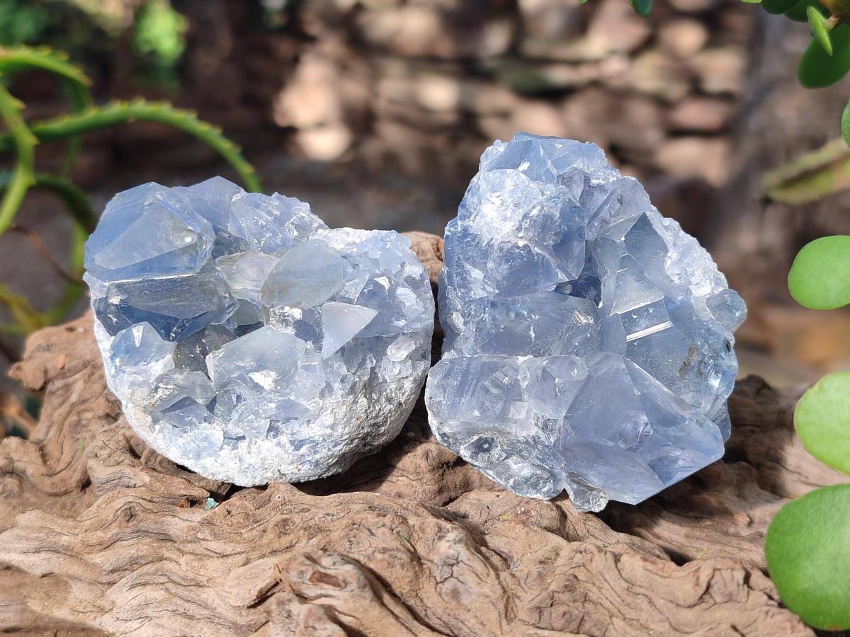 Natural Blue Celestite Specimens x 31 From Sakoany, Madagascar - Toprock Gemstones and Minerals 