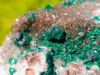 Natural Cabinet Sized Ball Malachite Specimens Coated with Drusy Quartz on Dolomite x 3 From Mindingi Mine, Congo - Toprock Gemstones and Minerals 