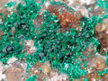 Natural Cabinet Sized Ball Malachite Specimens Coated with Drusy Quartz on Dolomite x 3 From Mindingi Mine, Congo - Toprock Gemstones and Minerals 