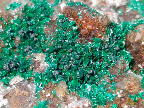 Natural Cabinet Sized Ball Malachite Specimens Coated with Drusy Quartz on Dolomite x 3 From Mindingi Mine, Congo - Toprock Gemstones and Minerals 